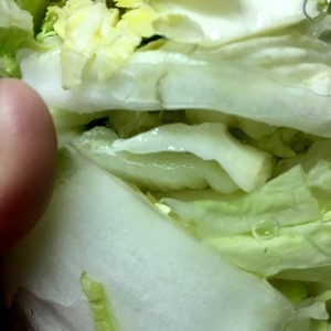 シャキシャキ白菜の 昆布茶の浅漬け レシピ 作り方 By クックまいななパパ クックパッド 簡単おいしいみんなのレシピが361万品