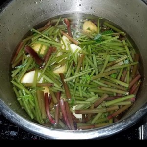 山菜ミズ 水菜 と塩くじらの煮物 レシピ 作り方 By Hysk163 クックパッド 簡単おいしいみんなのレシピが361万品