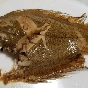 メイタガレイの煮付け レシピ 作り方 By 明石浦漁業協同組合 クックパッド 簡単おいしいみんなのレシピが356万品