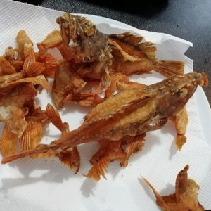 カサゴの唐揚げ レシピ 作り方 By うおいち クックパッド 簡単おいしいみんなのレシピが353万品