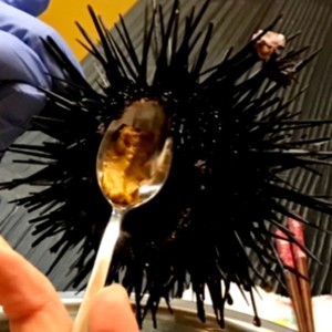 殻付きウニのさばきかた レシピ 作り方 By ぽてぽて猫 クックパッド 簡単おいしいみんなのレシピが361万品
