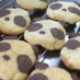 【アイスボックスクッキー②】パンダ♪