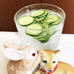 韓流 キュウリ焼酎 レシピ 作り方 By せつぶんひじき クックパッド 簡単おいしいみんなのレシピが360万品