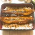 愛知の魚100選　アナゴの蒲煮丼