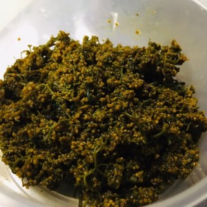 春の珍味 花山椒の佃煮 レシピ 作り方 By たぁさんだよ クックパッド 簡単おいしいみんなのレシピが368万品