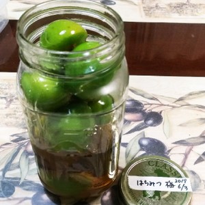 はちみつ梅ジュース 梅は冷凍すると簡単 レシピ 作り方 By やすみぬむ クックパッド 簡単おいしいみんなのレシピが356万品