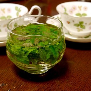 レモンバームとペパーミントのハーブティー レシピ 作り方 By アトリ６８ クックパッド 簡単おいしいみんなのレシピが357万品