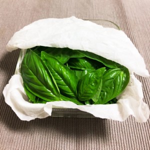 長持ち スイートバジルの保存方法 レシピ 作り方 By Brillatsavarin クックパッド 簡単おいしいみんなのレシピが351万品
