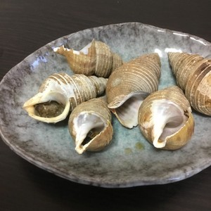 ヒメエゾボラ 青ツブ のつぶ焼き レシピ 作り方 By あおもりの肴 クックパッド 簡単おいしいみんなのレシピが354万品