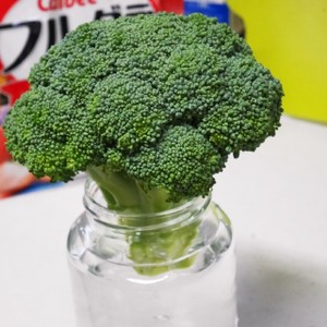 ブロッコリーの新鮮が続く保存方法 レシピ 作り方 By ヨッシー５６ クックパッド