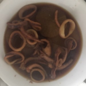 大根と冷凍イカの煮物 レシピ 作り方 By ウメヤッコ クックパッド 簡単おいしいみんなのレシピが359万品