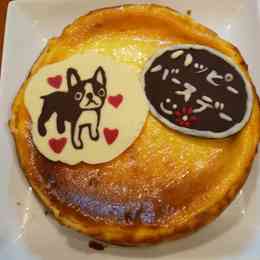スヌーピー チョコプレートのつくれぽ クックパッド 簡単おいしいみんなのレシピが341万品