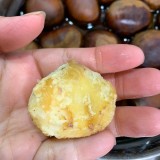 E401081d0cf65292bcaafbf393e23652