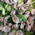 砂肝と小松菜の炒めもの