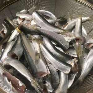 広島の味覚 小イワシのお刺身 レシピ 作り方 By じぇりっこ クックパッド 簡単おいしいみんなのレシピが360万品