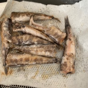 脂のりのりメヒカリの塩焼き レシピ 作り方 By みほみほまま クックパッド 簡単おいしいみんなのレシピが356万品