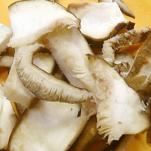 椎茸のヒダの中にいる虫の取り方です レシピ 作り方 By れいぴん クックパッド 簡単おいしいみんなのレシピが361万品