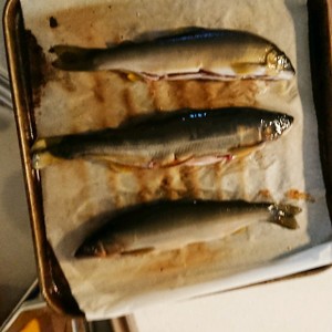 お子様にもオススメ 鮎の塩焼き レシピ 作り方 By たかしゃん クックパッド 簡単おいしいみんなのレシピが360万品