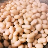 00594e329574ca054f0a4d5d49bb2e96