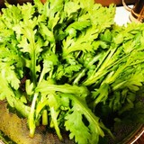 9ee949f55748eb123078e047240ca3c1