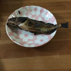 ガシラ カサゴ の塩焼き レシピ 作り方 By 明石浦漁業協同組合 クックパッド 簡単おいしいみんなのレシピが361万品