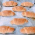 こねない！不思議！ ㊙本物パン屋の塩パン