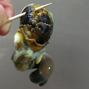 覚書 サザエの中身の取り出し方 レシピ 作り方 By せいちゃんの部屋 クックパッド 簡単おいしいみんなのレシピが366万品
