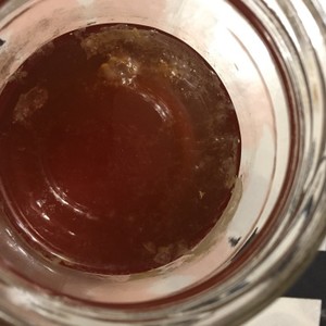 手作り紅茶キノコ コンブチャ レシピ 作り方 By Dalirosa クックパッド 簡単おいしいみんなのレシピが354万品