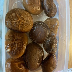 椎茸のヒダの中にいる虫の取り方です レシピ 作り方 By れいぴん クックパッド 簡単おいしいみんなのレシピが365万品