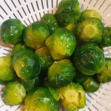 4ff7dd540f8b88813c7535603e03b33f