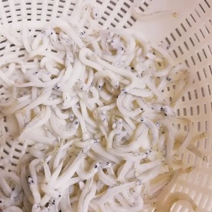 離乳食 しらすの塩抜き レシピ 作り方 By 和の離乳食 中田馨 クックパッド 簡単おいしいみんなのレシピが360万品