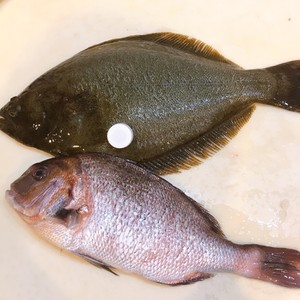 超簡単 魚のうろこの取り方 レシピ 作り方 By Ayaka3 クックパッド 簡単おいしいみんなのレシピが356万品