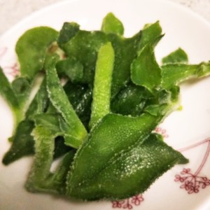 アイスプラント 凍らせて レシピ 作り方 By はんちくたい クックパッド 簡単おいしいみんなのレシピが351万品