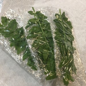 山椒の葉は冷凍保存できますよ レシピ 作り方 By とのみん クックパッド 簡単おいしいみんなのレシピが360万品