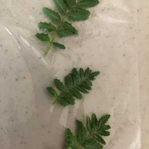 山椒の葉は冷凍保存できますよ レシピ 作り方 By とのみん クックパッド 簡単おいしいみんなのレシピが358万品