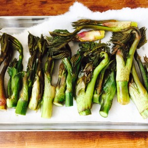 春の味覚 山うどの下処理方法 レシピ 作り方 By だのん 彡 クックパッド 簡単おいしいみんなのレシピが365万品