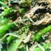【副菜･作り置き】小松菜ともやしのナムル