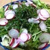 水菜とラディッシュ、大根のサラダ