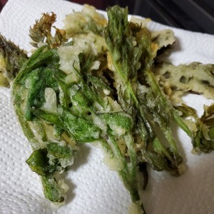 葉もの山菜の天ぷら 冷凍保存するよ レシピ 作り方 By Noufumama クックパッド 簡単おいしいみんなのレシピが357万品