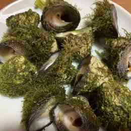 簡単 しったか貝 ニナ貝 の塩茹でのつくれぽ クックパッド 簡単おいしいみんなのレシピが338万品