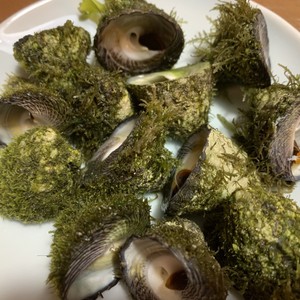 簡単 しったか貝 ニナ貝 の塩茹で レシピ 作り方 By こやじ女将 クックパッド 簡単おいしいみんなのレシピが353万品