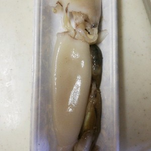 簡単 イカの皮の剥き方 さばき方 レシピ 作り方 By One K クックパッド 簡単おいしいみんなのレシピが353万品