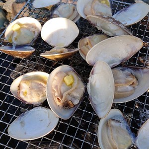 はまぐりのバター醤油焼き レシピ 作り方 By うめらぶちゃん クックパッド 簡単おいしいみんなのレシピが367万品