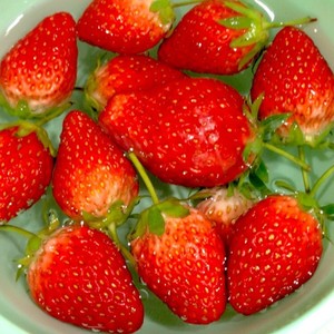 豆知識 いちごは水で洗いましょう レシピ 作り方 By マリゴン25 クックパッド 簡単おいしいみんなのレシピが350万品