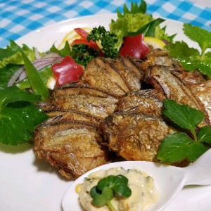 ヒイラギの唐揚げのつくれぽ クックパッド 簡単おいしいみんなのレシピが357万品