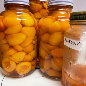 あんずのシロップ漬け レシピ 作り方 By 古都の月 クックパッド 簡単おいしいみんなのレシピが357万品