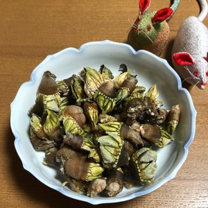 亀の手の食べ方 レシピ 作り方 By エレクトリックケトル クックパッド 簡単おいしいみんなのレシピが361万品