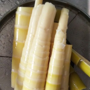 処理 破竹 の 下