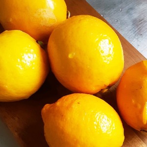 レモンの農薬除去 レシピ 作り方 By くるくるくるとん クックパッド