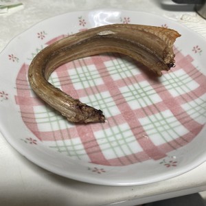 アオダイショウ ヘビ の塩焼き レシピ 作り方 By Sourman クックパッド 簡単おいしいみんなのレシピが360万品
